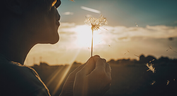 Psycologische_Beratung_Klarheit